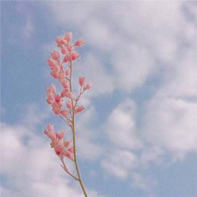 bat·365(中国)在线登录入口