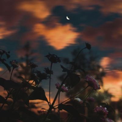 乐发彩票APP下载手机app下载