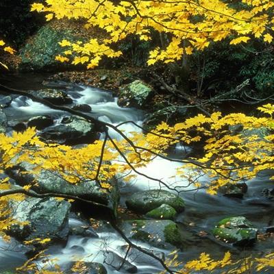 乐鱼APP官方登录入口leyu