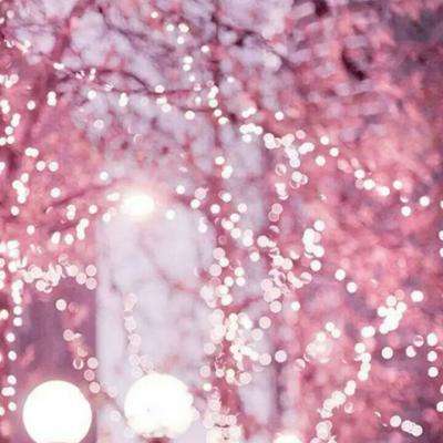 彩8官网入口截图